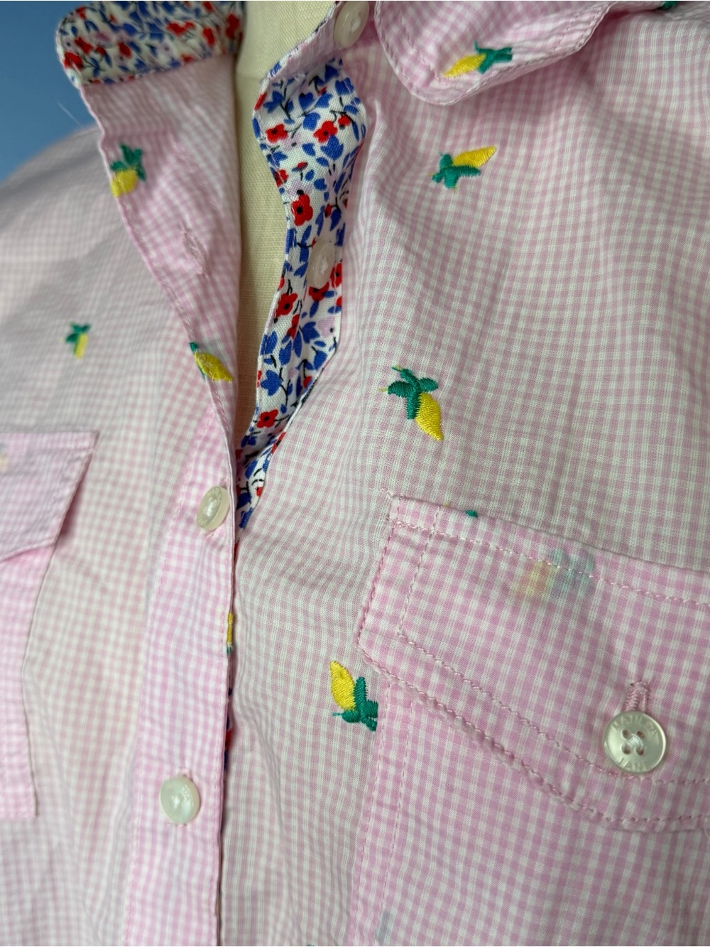 Matilda Jane "Country Fun" button-down shirt pink gingham Corn Embroidered Large